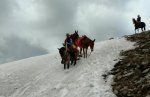 IMG_0936.jpg