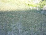 DSCF3539.jpg