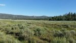 20160702_174451.jpg