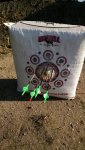 IMG_20160625_081857117.jpg