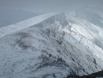 IMG_1618res.jpg