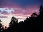 DSCN0458.jpg