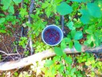 DSCN1148.jpg