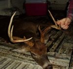 8 point.jpg