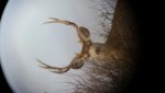 20160206_160221.jpg