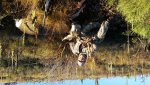20151023_083326.jpg