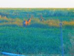 DSCN1223.jpg
