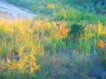 DSCN1218.jpg