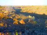 DSCN1217.jpg