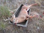2011_Deer hunt Valentine (17 of 25).jpg