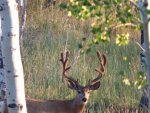 Ole Honey Hole7.jpg