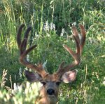 Ole Honey Hole11.jpg
