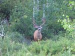 Ole Honey Hole13.jpg