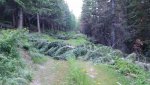 20160814_075504.jpg