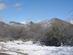 Hunting Area.jpg