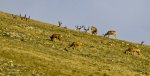 _MG_6773.jpg