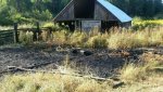 20160824_082122.jpg
