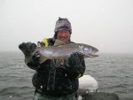 Nice Fish.jpg