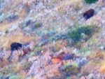 DSCN1293.jpg