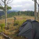 CAMP PRE COW.jpg