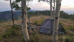 CAMP1.jpg