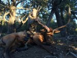 NM2016_ELK-Front_8.4.16.jpg
