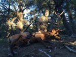 NM2016_ELK-Side_8.4.16.jpg