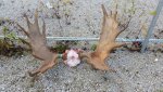 20160917_103054.jpg