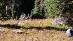20160910_100949.jpg