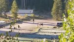 20160909_074631.jpg