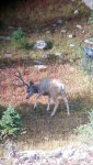 20160907_172325.jpg