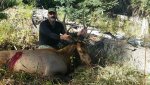 Elk 2.jpg