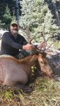 Elk 1.jpg