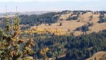 Scenery 1.jpg
