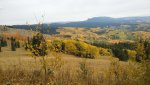Scenery 2.jpg