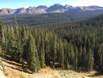 IMG_2206.jpg