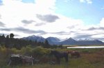 View from Camp.jpg