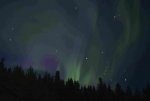 Northern Lights 5.jpg