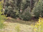 IMAG0035.jpg