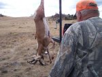 Antelope hunting Oct 2016 009.jpg