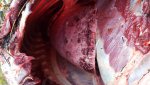 20160920_181516.jpg