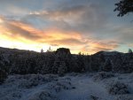 IMG_1380.jpg
