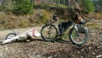 20161011_133612.jpg