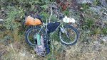 Untitled attachment 00076.jpg