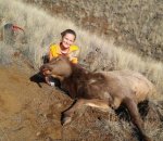 Elk pic.jpg