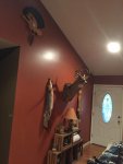 IMG_4182.jpg
