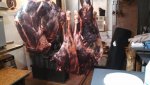 Meat.jpg