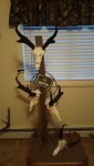 thumbnail_20161010_183513.jpg