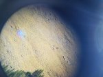 20160910_121627(0) (1).jpg