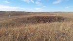 2016 Deer Hunt-10.jpg